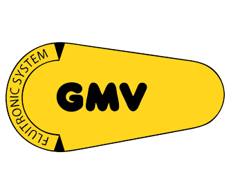 Gmv